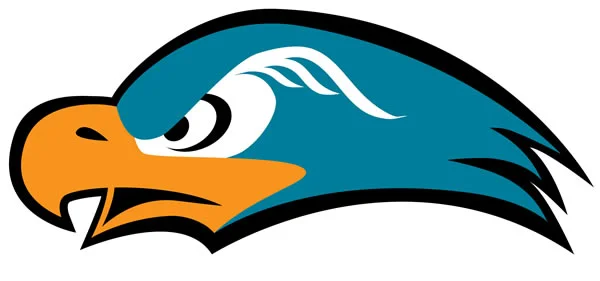 Naked IceHawk Secondary Logo
