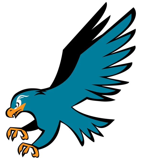 Naked LSC IceHawk Logo