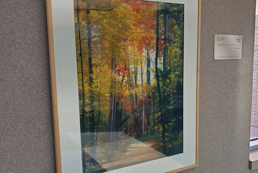 Photo #1 of Into the Woods by Alberta Marana