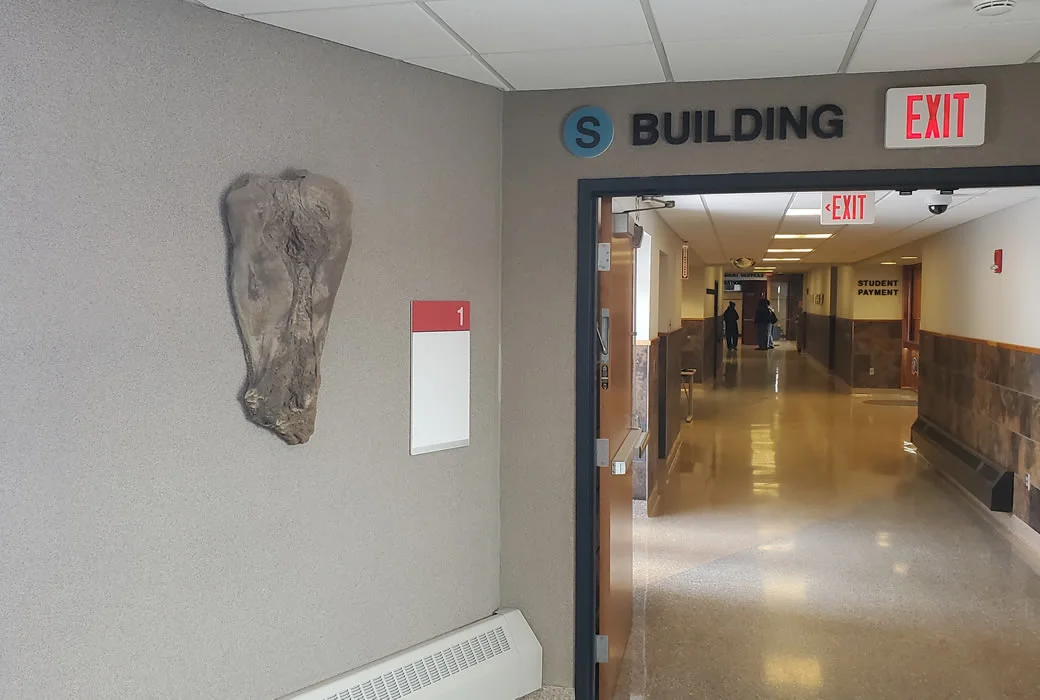 Photo #1 of Effigy I by Katherine Sandnas