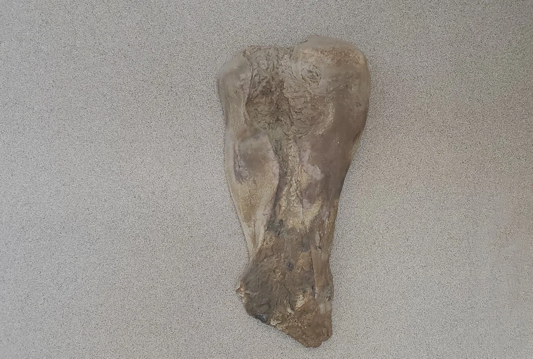 Photo #2 of Effigy I by Katherine Sandnas