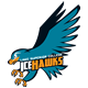 Lake Superior College IceHawks