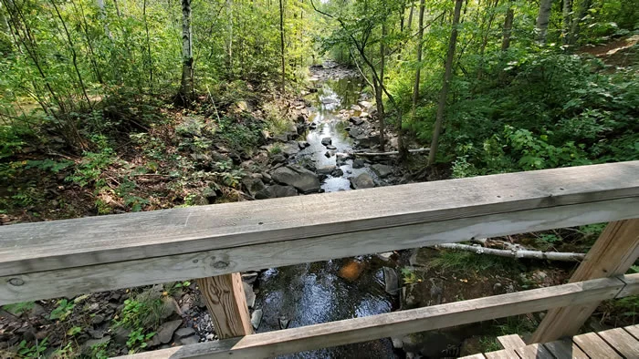 Miller Creek Interpretive Trail Bridge