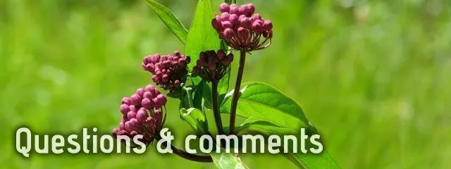 Sustainability Questions and Comments