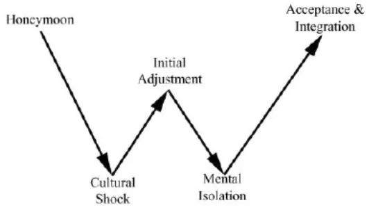 The W curve diagram - Honeymoon then cultural shock then initial adjustment then mental isolation then acceptance and integration.