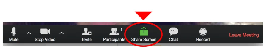 Zoom share screen button